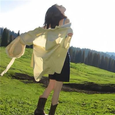 李佩西与五大王国的守护者